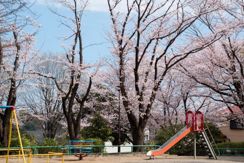 ways to get out in nature visit a park