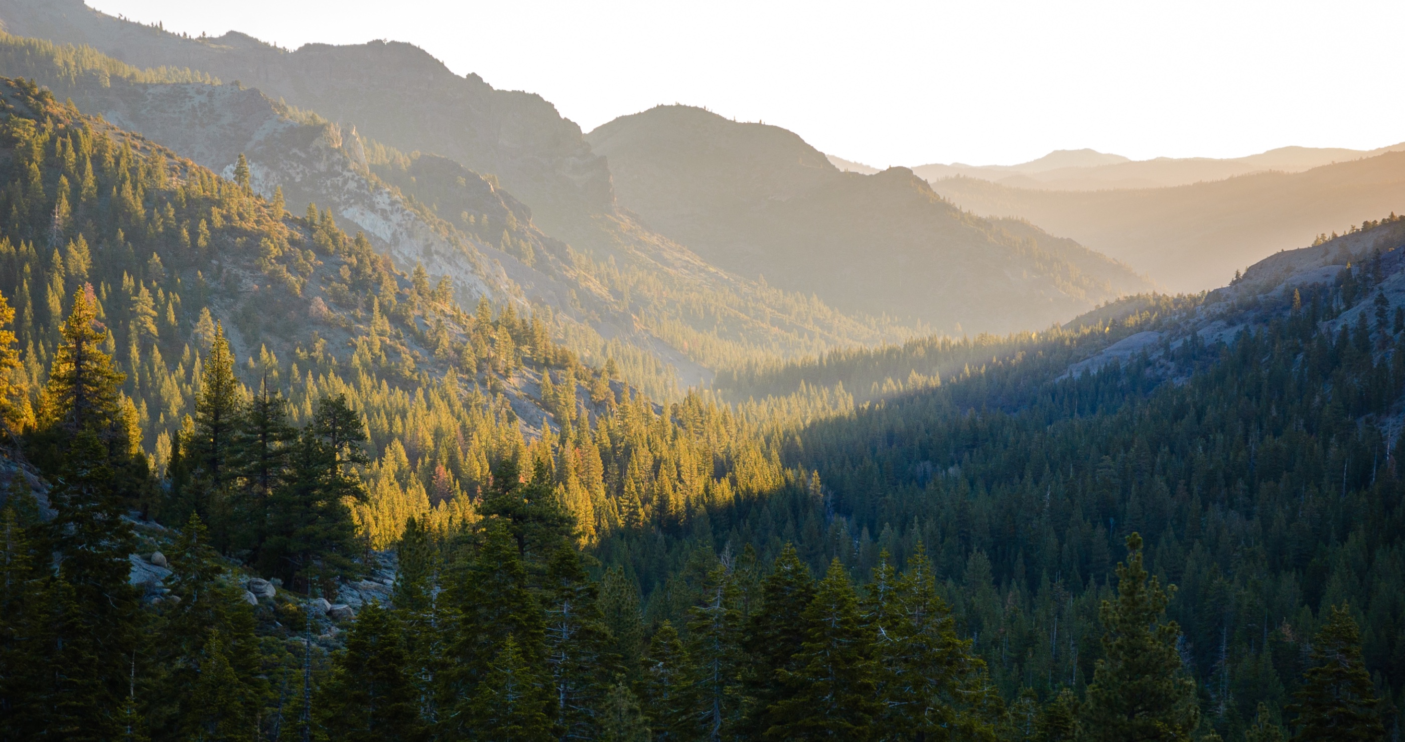 Boy Scout Troop Rescues Elderly Backpacker Lost In California Wilderness