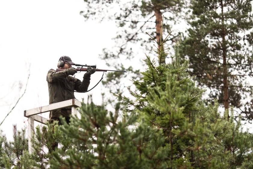 Experts Urge Hunters To Prioritize Tree Stand Safety As Fall Hunting Begins