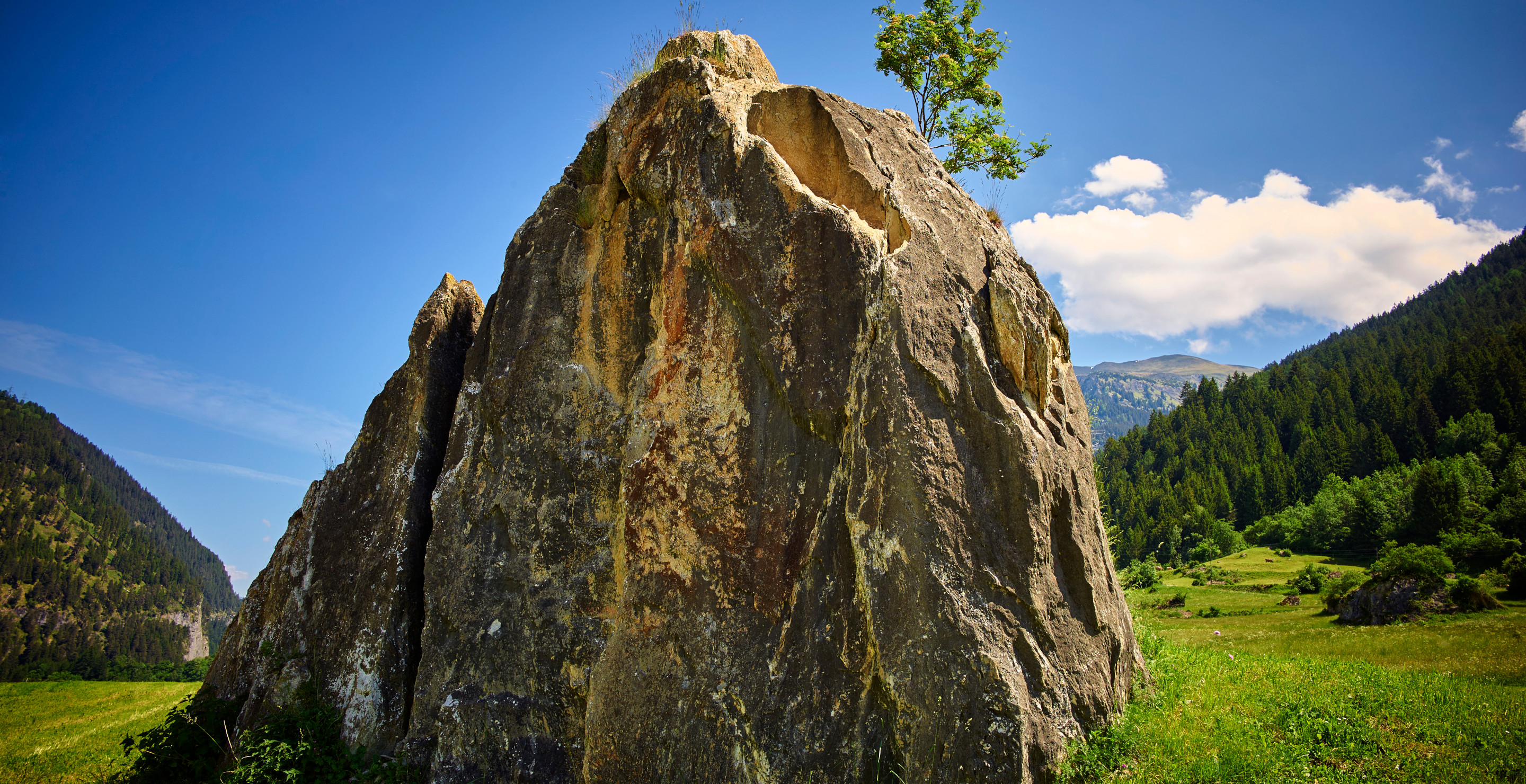 Man Decides To Dig Up Troublesome Rock In His Lawn