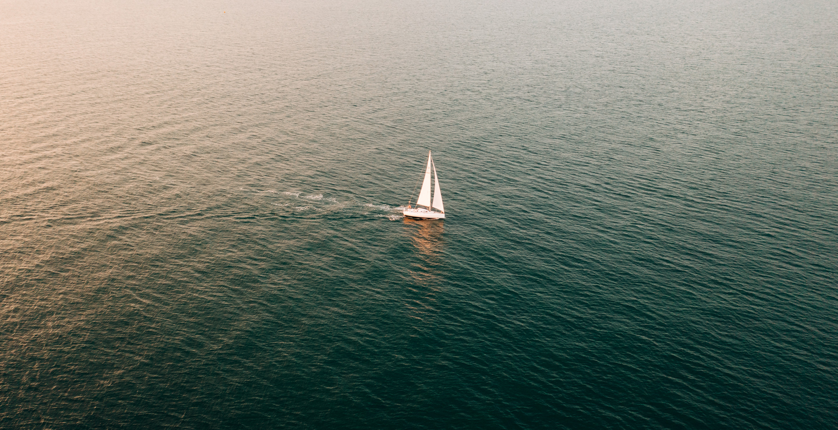 Man Goes Missing While Sailing Around the World, Only Dog Found On Boat