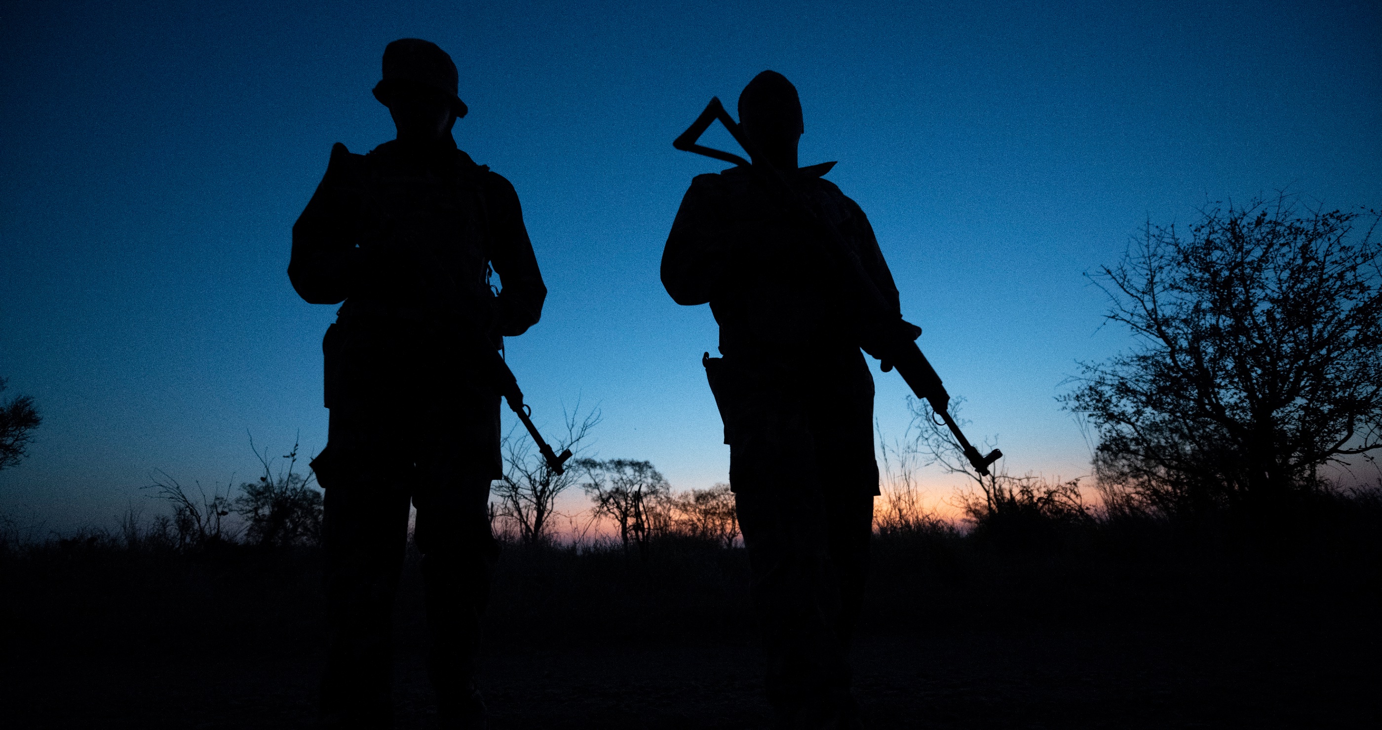 Wildlife Poaching Is Wreaking Havoc On Wildlife, Hunters, And Americans’ Wallets