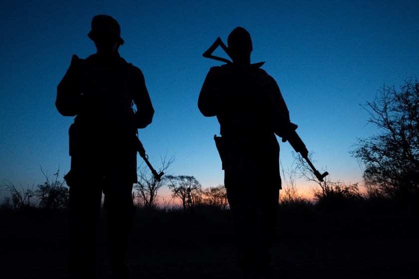 Wildlife Poaching Is Wreaking Havoc On Wildlife, Hunters, And Americans' Wallets