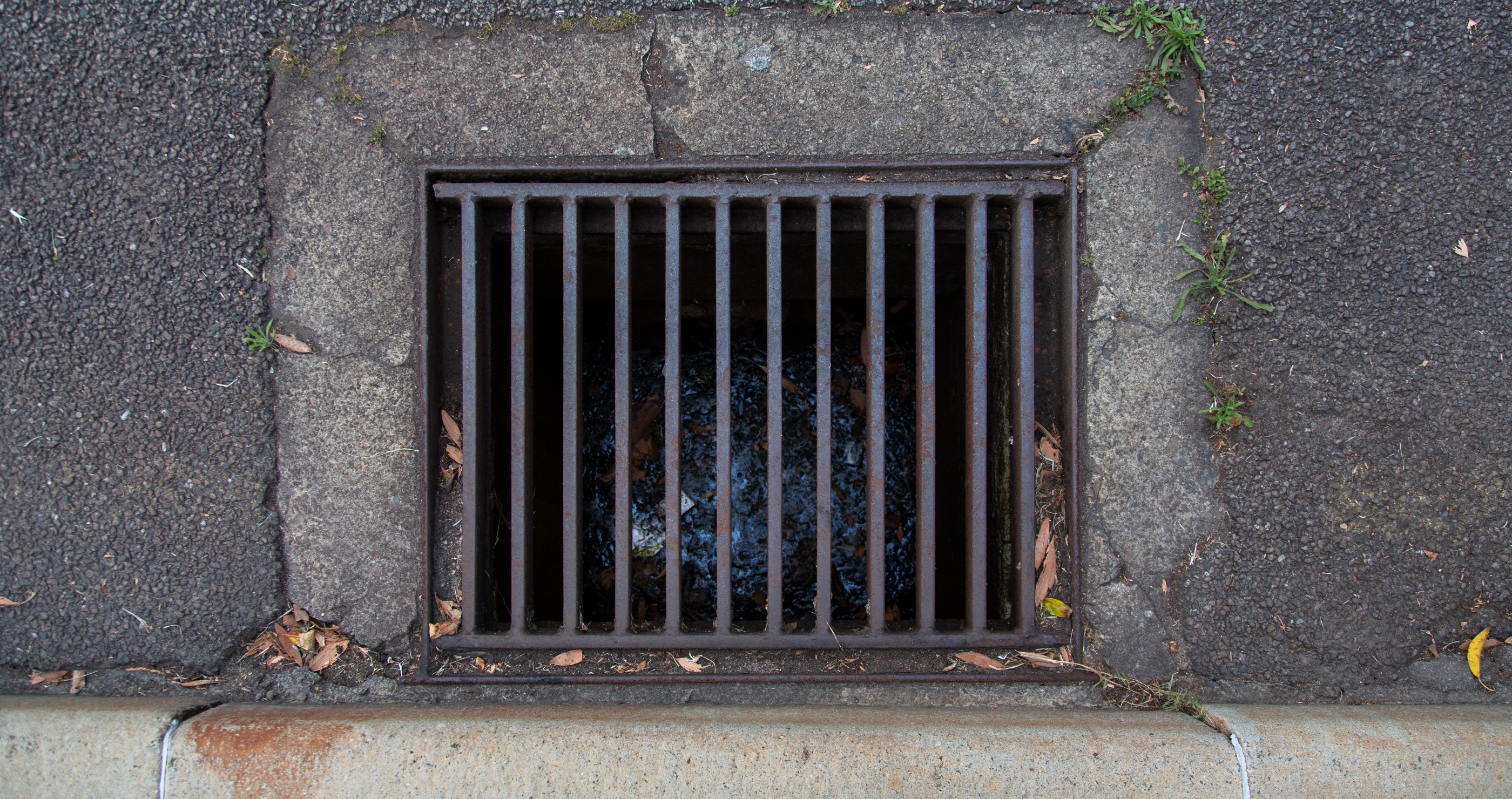 Owner In Tears As She Is Reunited With Her Dog That Was Trapped In A Storm Drain