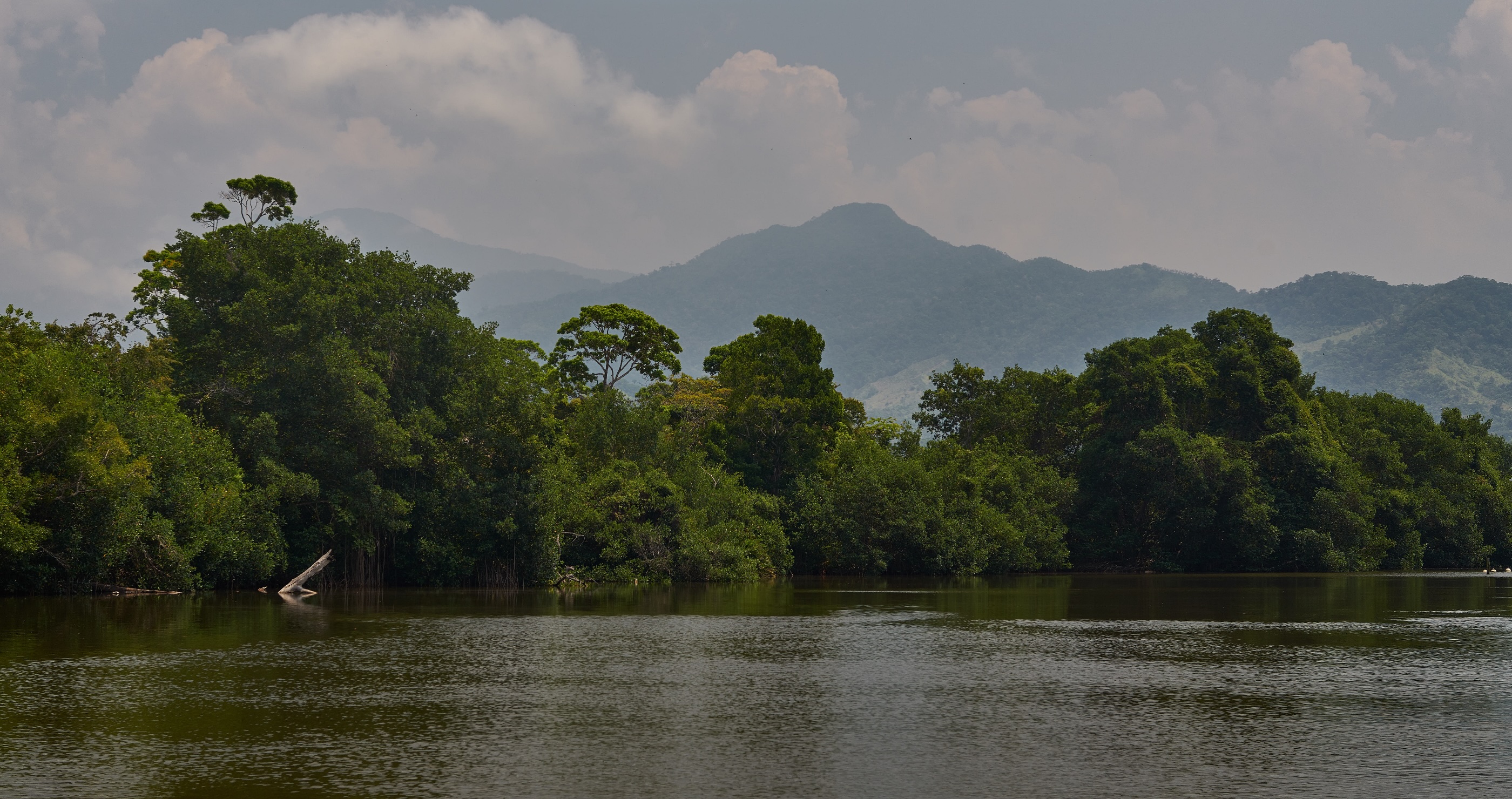 Tensions Swirl As Officials Strive To Protect This Honduran Lagoon