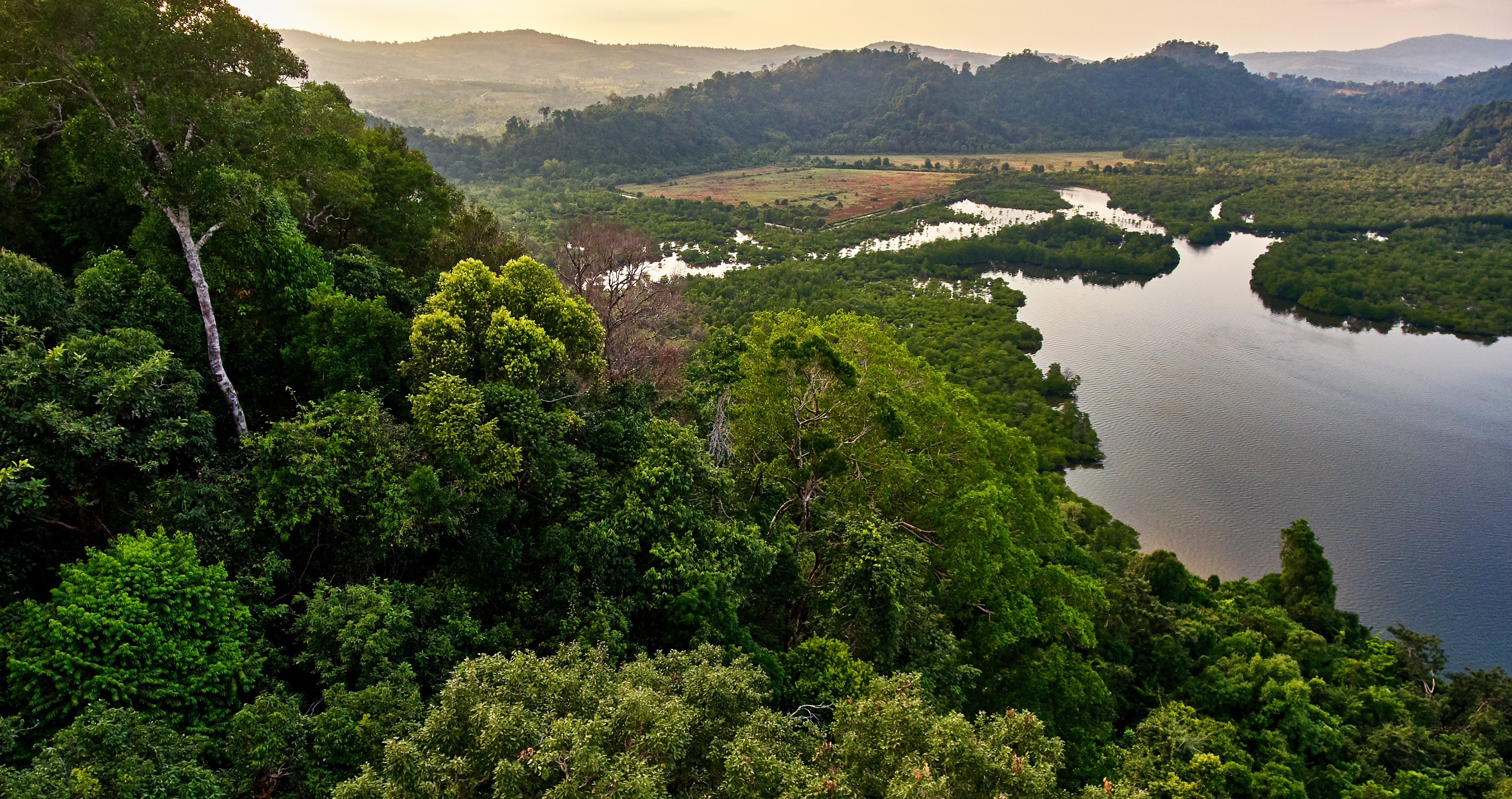 Cambodian Rivers Are Being Poisoned By Toxic Runoff From Nearby Gold Mines