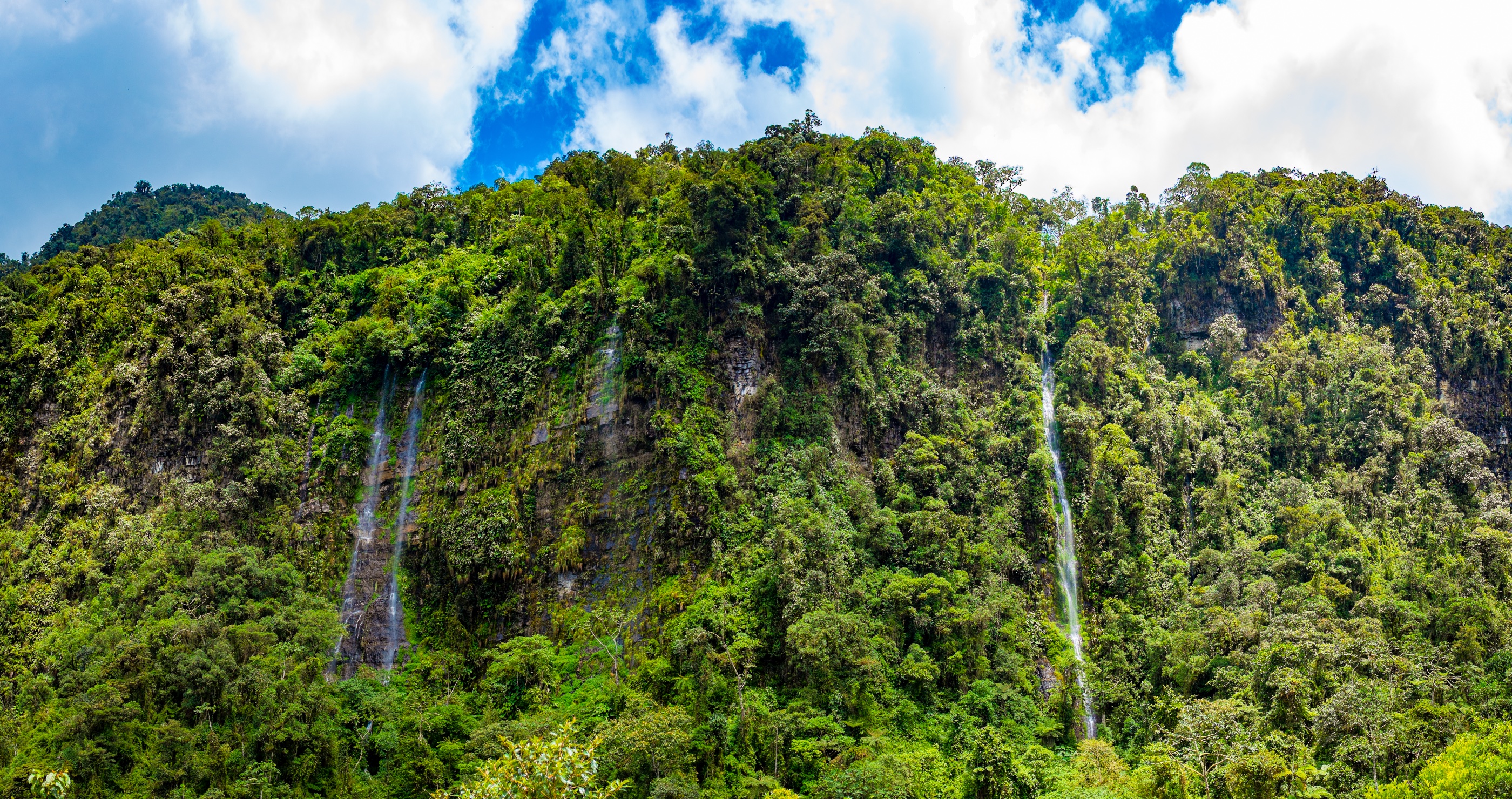 The New Land Deal That Is Threatening One Of Bolivia's Forests And It's Ecosystems