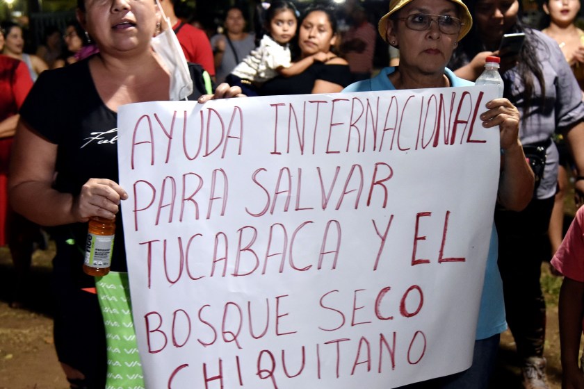 The New Land Deal That Is Threatening One Of Bolivia's Forests And It's Ecosystems