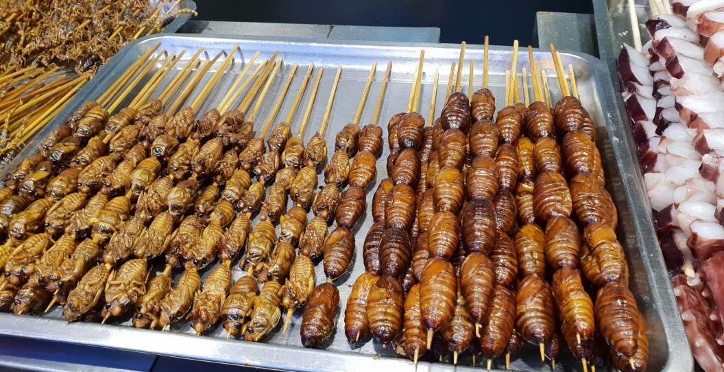 26-Year-Old Addicted To Eating Bugs, Eats More Than 100 A Day