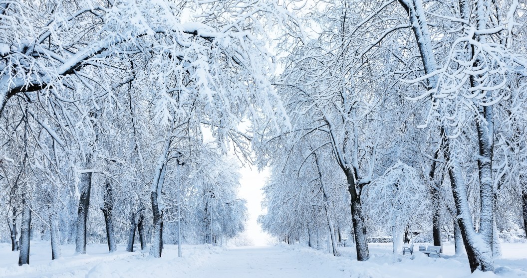 New Jersey Suffers Massive Power Outages As Insane Blizzard Slams The State