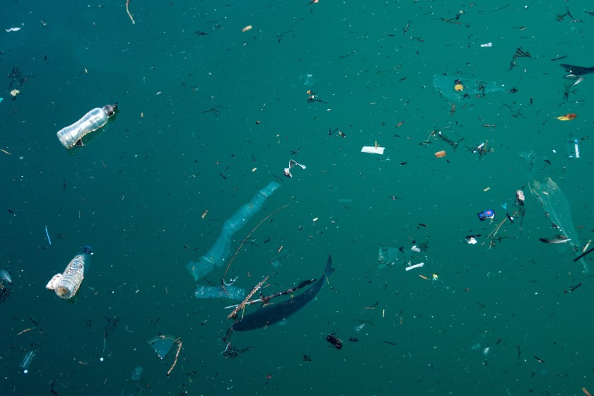 Now Some Scientists Are Arguing Against Removing Plastic From Our Oceans: Find Out Why
