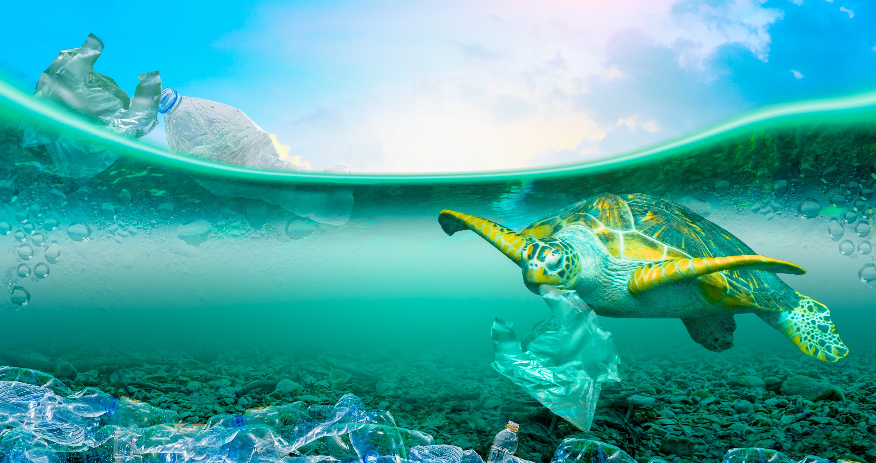 Now Some Scientists Are Arguing Against Removing Plastic From Our Oceans: Find Out Why