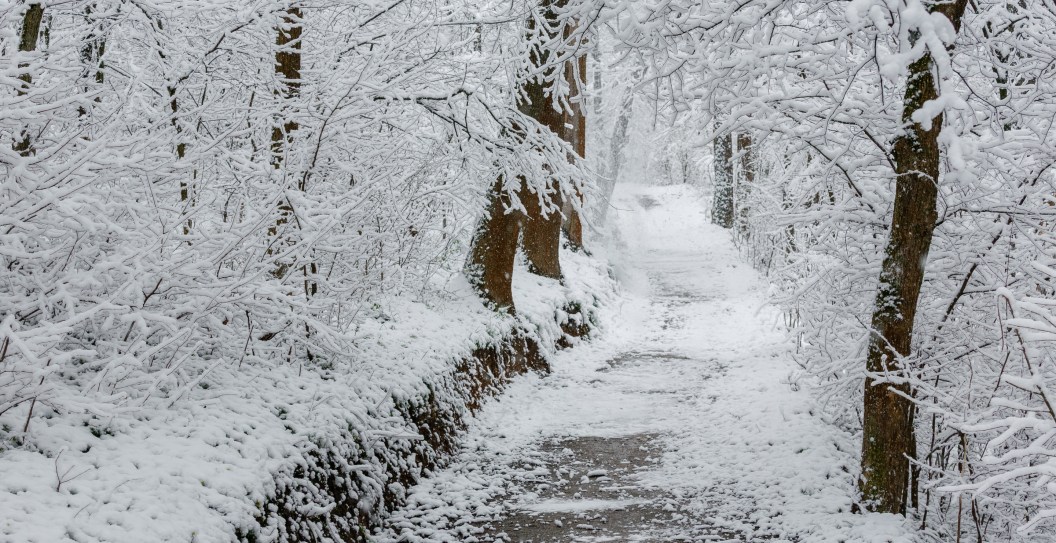 Ohio Runner Gets Frostbite on Ears After Running in -8 Degree Weather