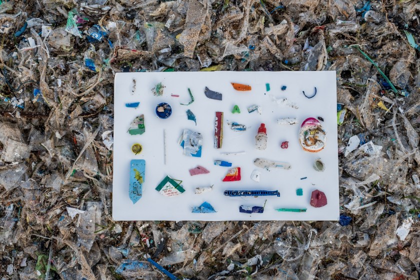 It Turns Out The Great Pacific Garbage Patch Is Now Home To Dozens Of Species